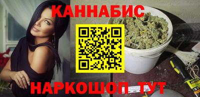 дмт Кингисепп