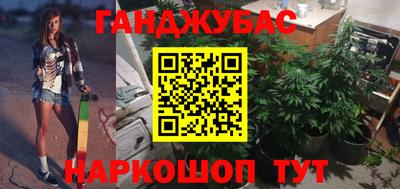 дмт Кингисепп