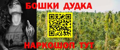 дмт Кингисепп