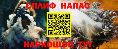 дмт Кингисепп