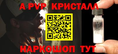 дмт Кингисепп