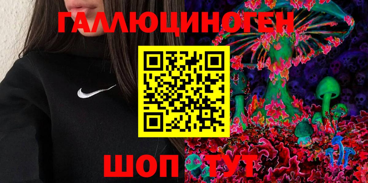Курчатов  Псилоцибиновые грибы ЛСД  Вход с VPN 