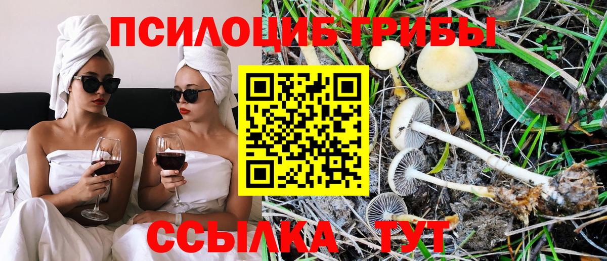 Псилоцибиновые грибы Magic Shrooms Курчатов