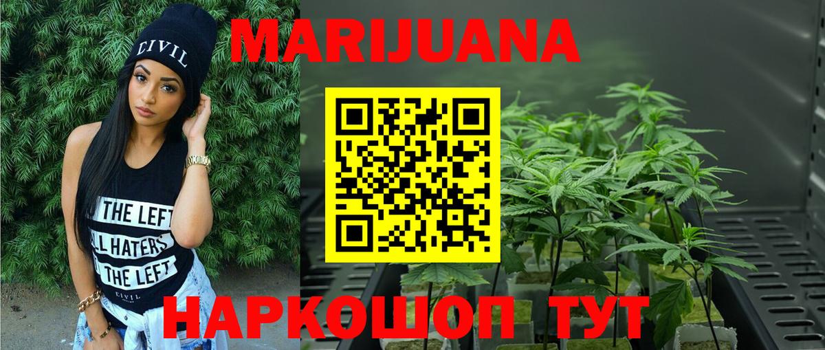 Каннабис план Курчатов